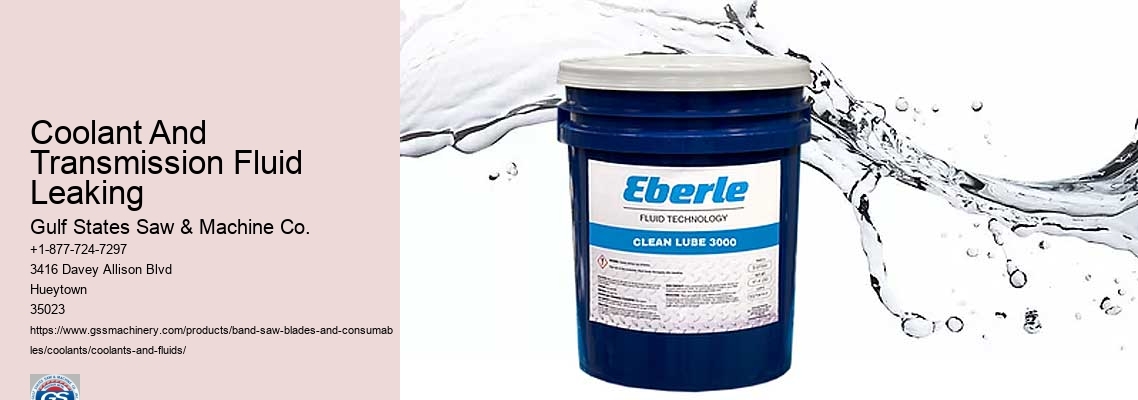 Automotive Maintenance Products